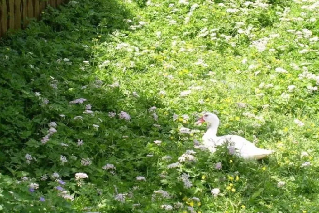 14349-Nicht zugeordnet