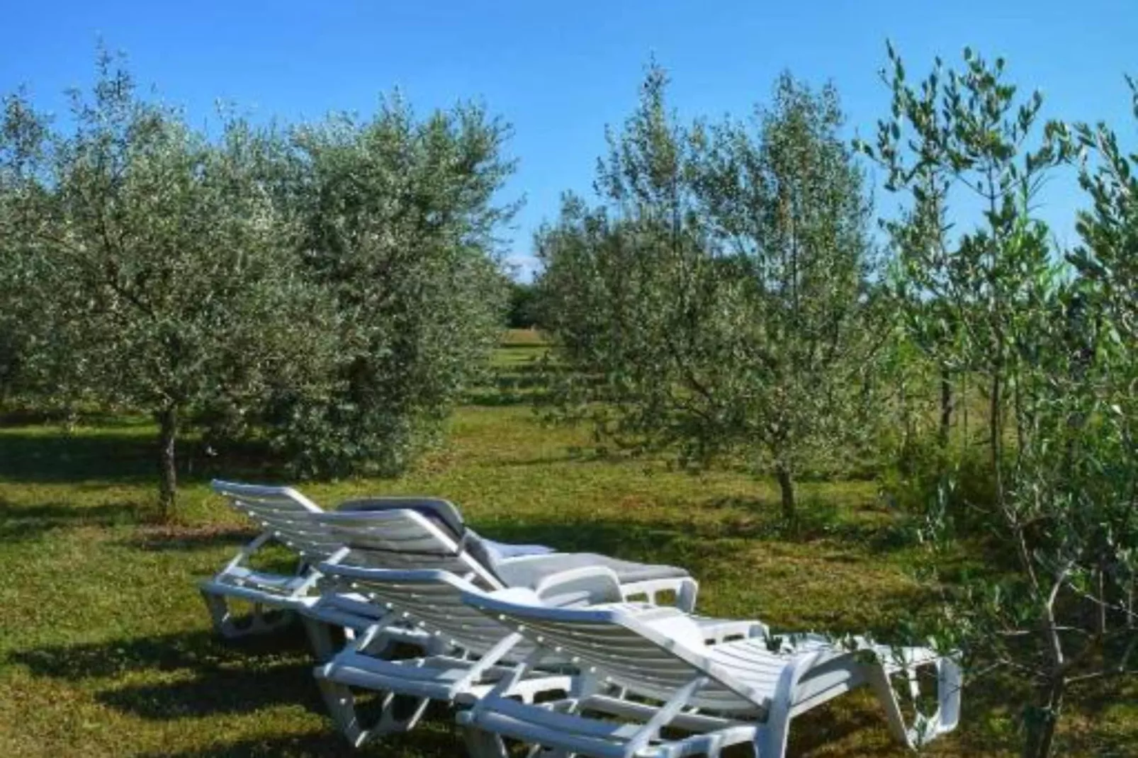 House in Nature-Outdoor