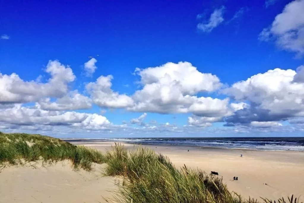 44615-Nicht zugeordnet