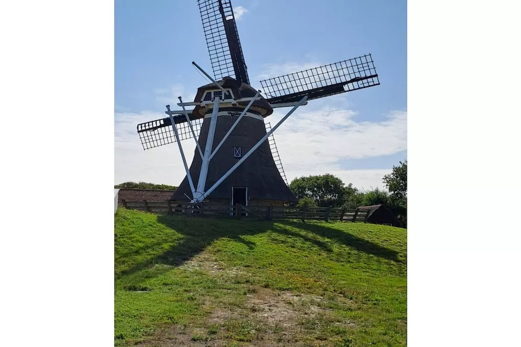 492472-Nicht zugeordnet