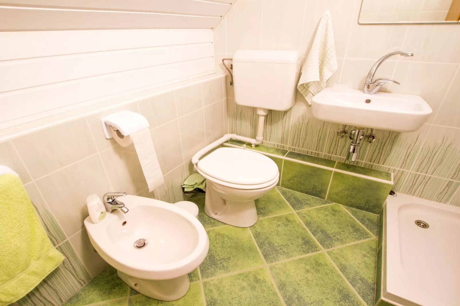 Sunny Two Bedroom Retreat in Beautiful Bizeljsko - Two Bedroom Country House-Bathroom