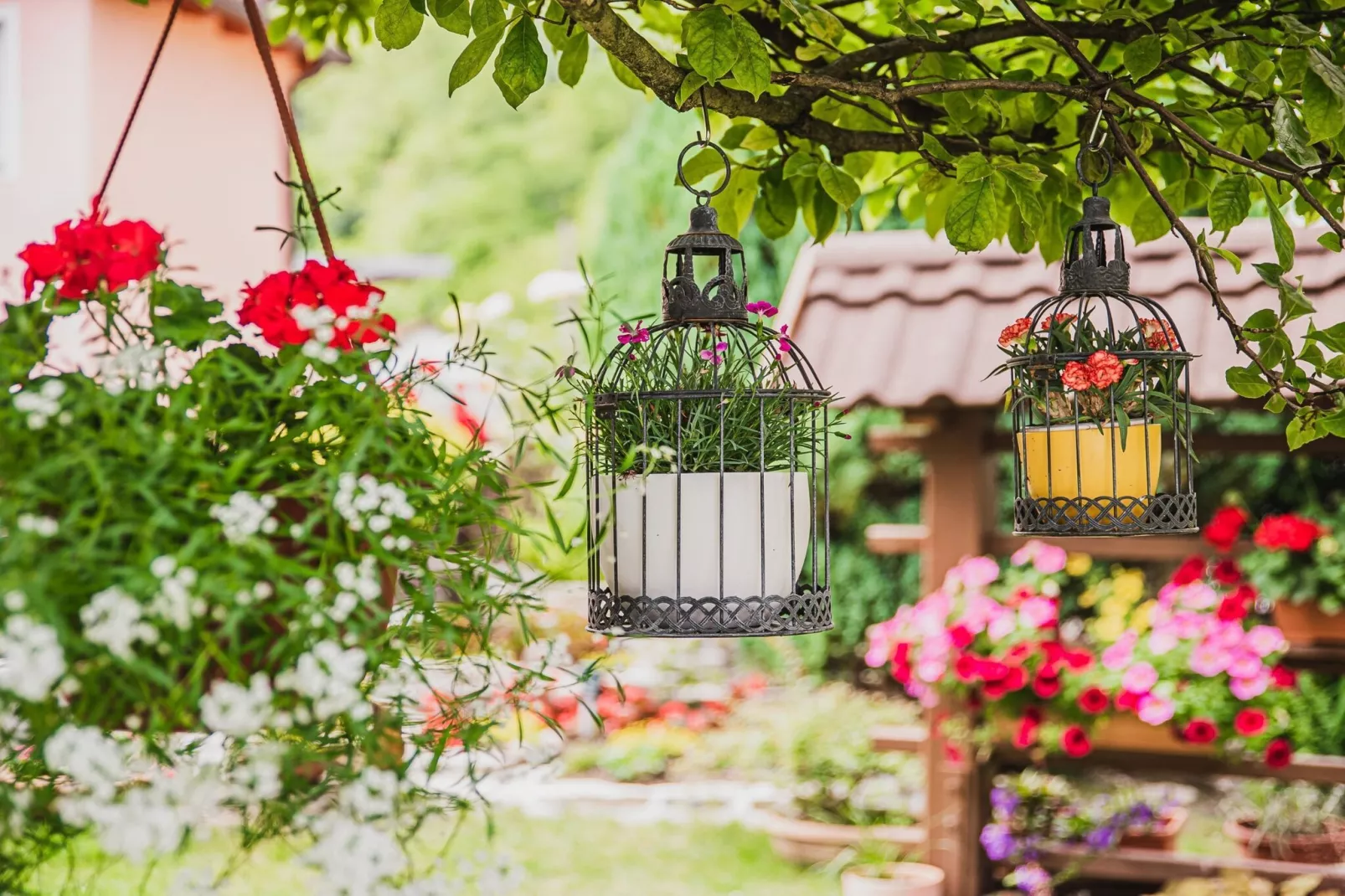 Enchanting Rural Apartment with Terrace - Studio Apartment with Terrace-Gardens in summer