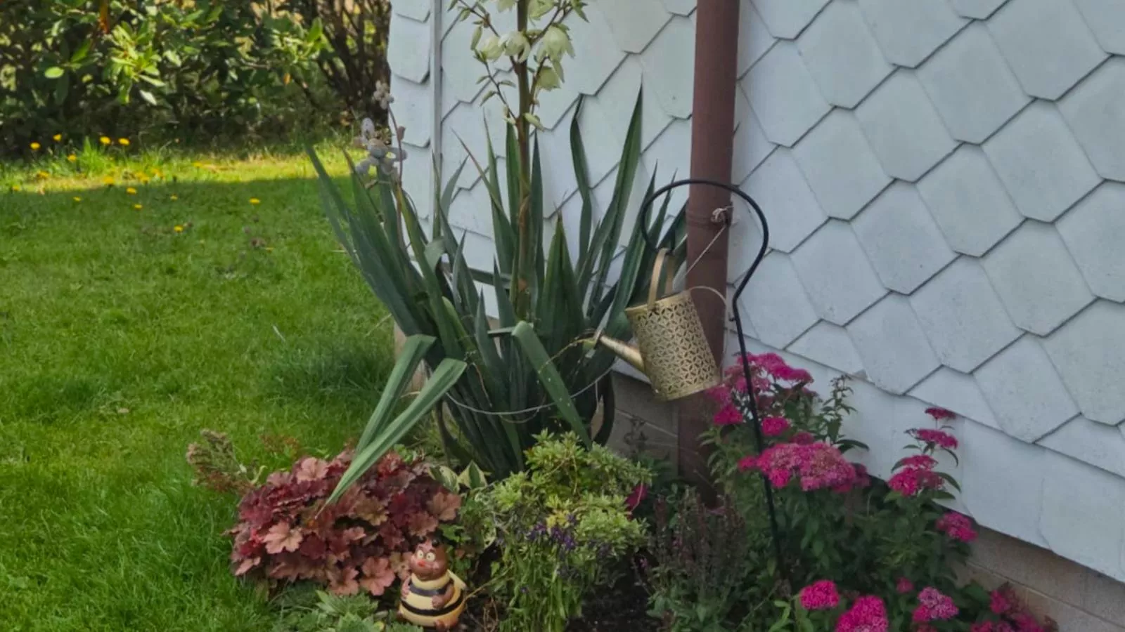 Alice-Jardins en été