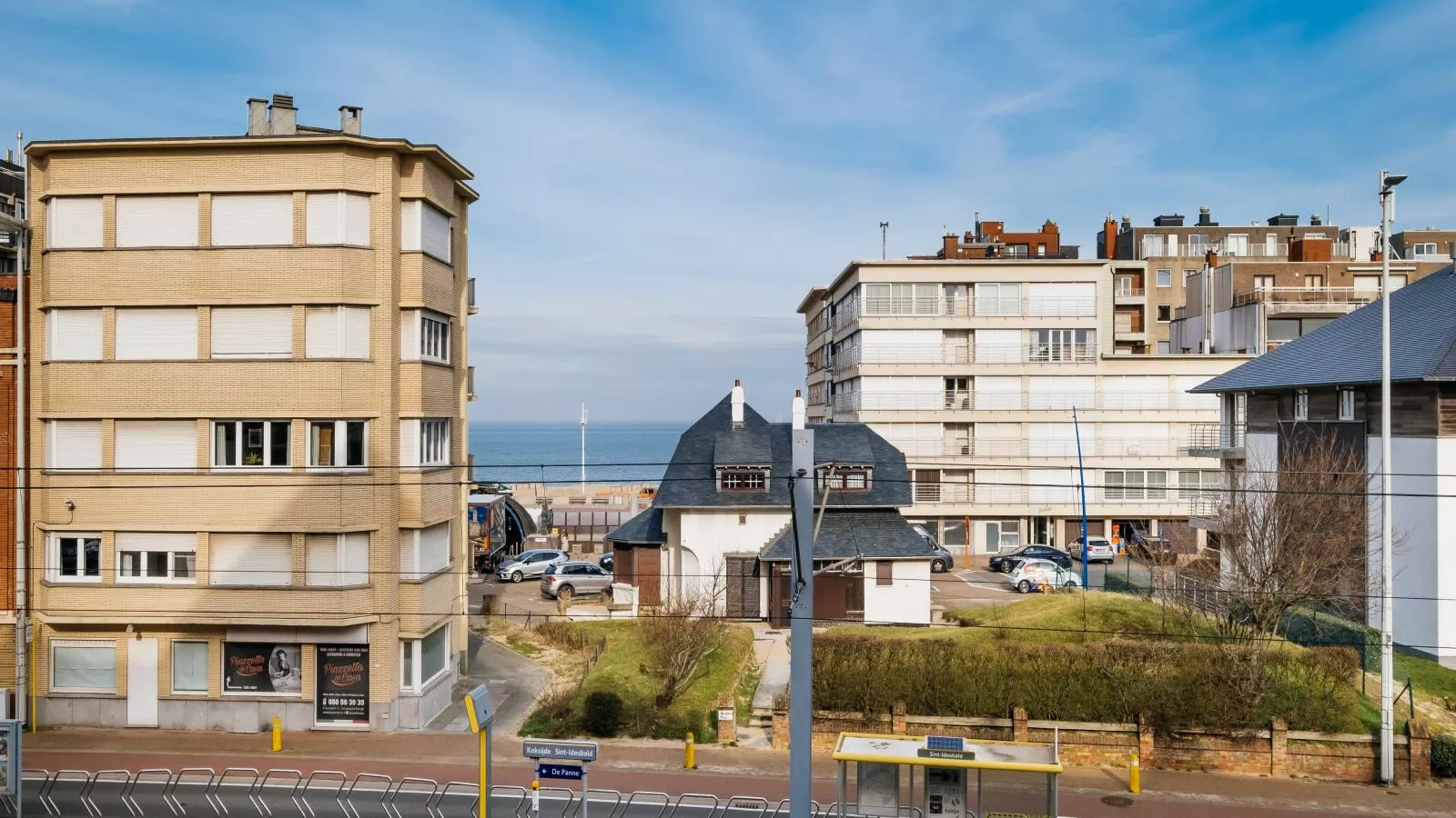 Cat Tweede-View in summer