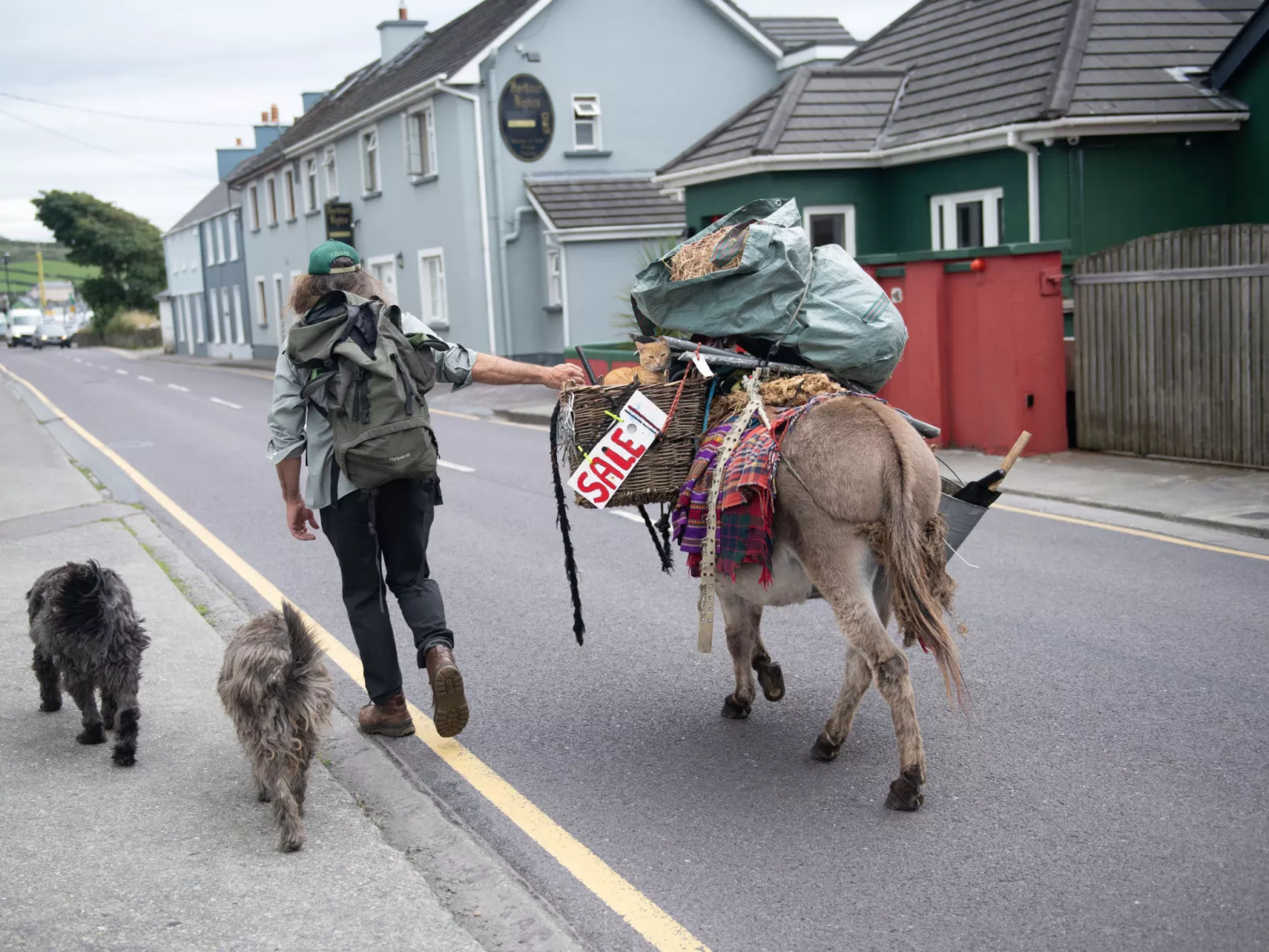 Dingle HC(TR4) No 9 - B-Dehors