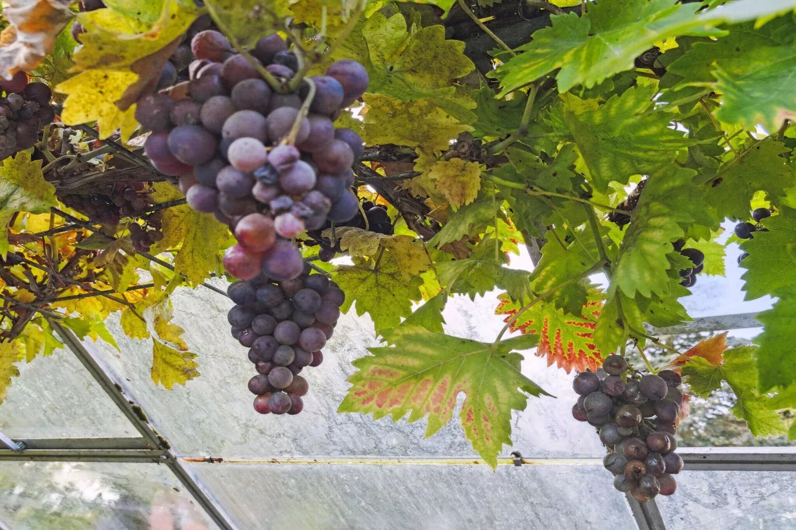 5 star holiday home in Haderslev-Outdoor