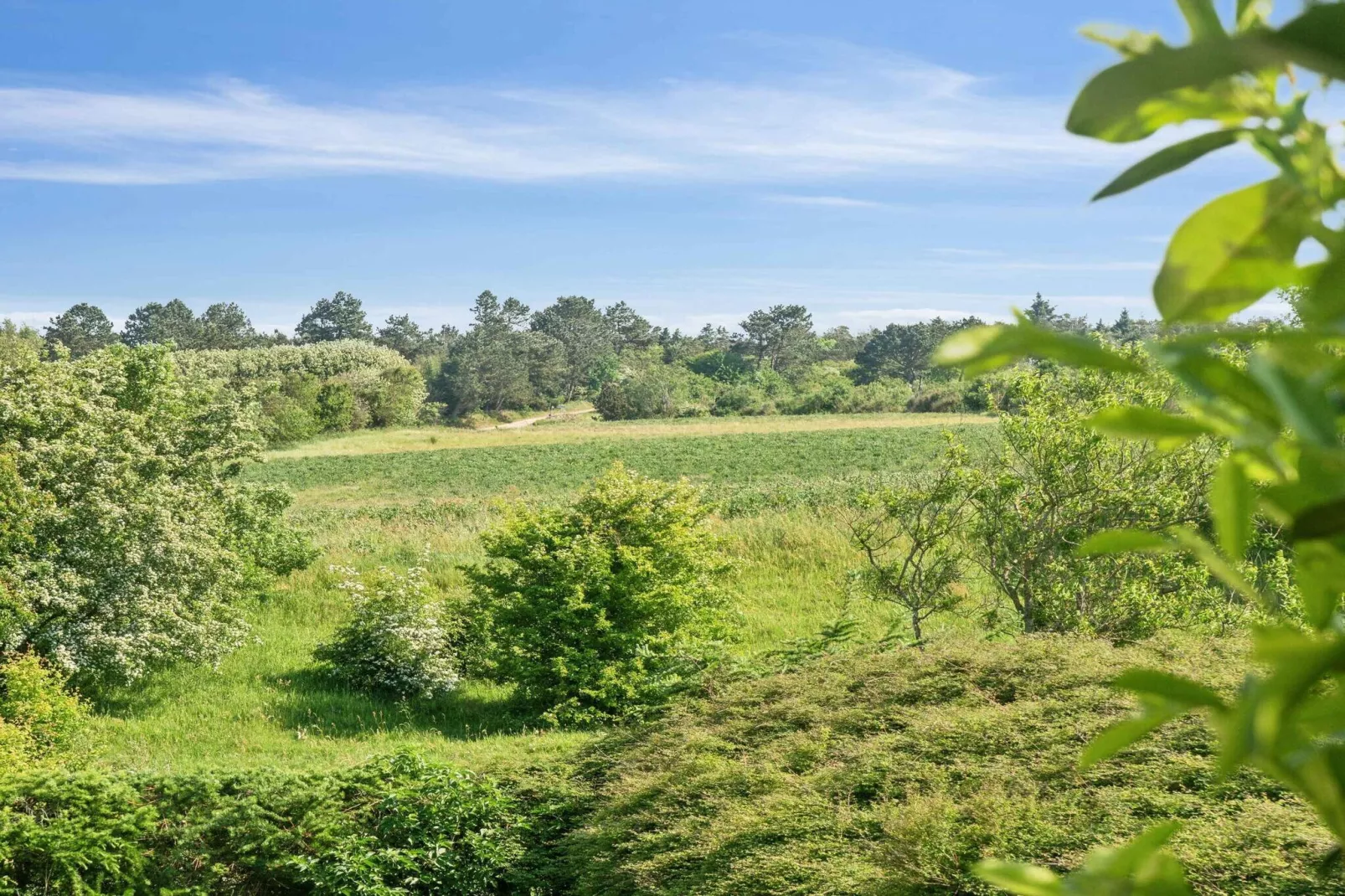 5 star holiday home in Farsø-Outdoor