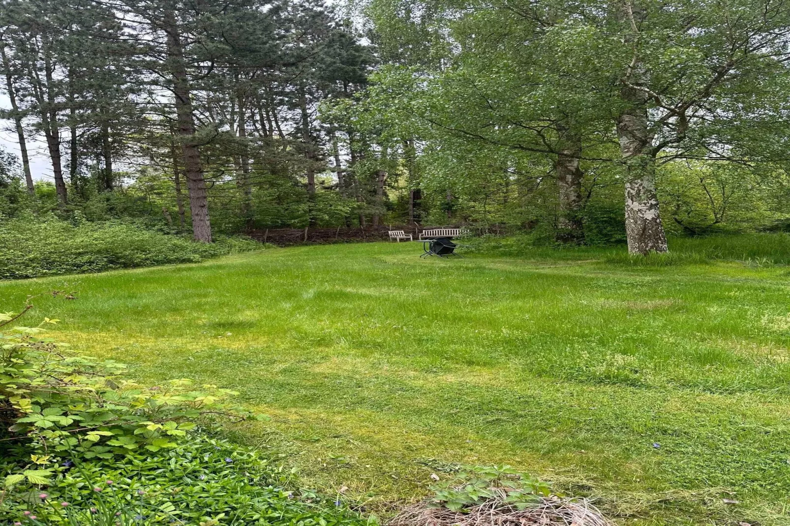 5 star holiday home in Knebel-Untagged