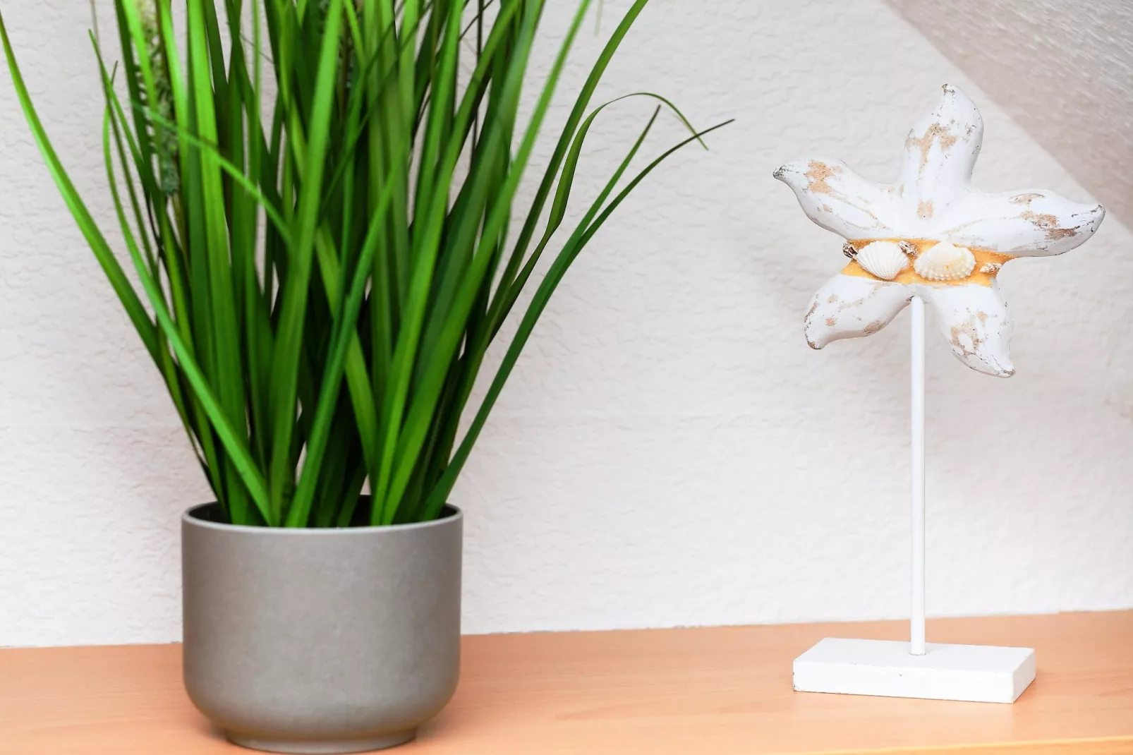 Haus Strandkorb 8-Living room