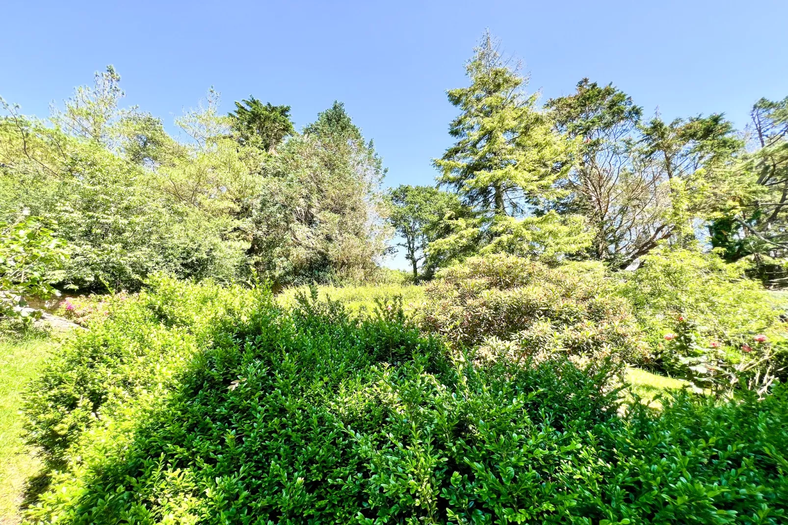 Doppelhaushälfte in Milizac-Gardens in summer