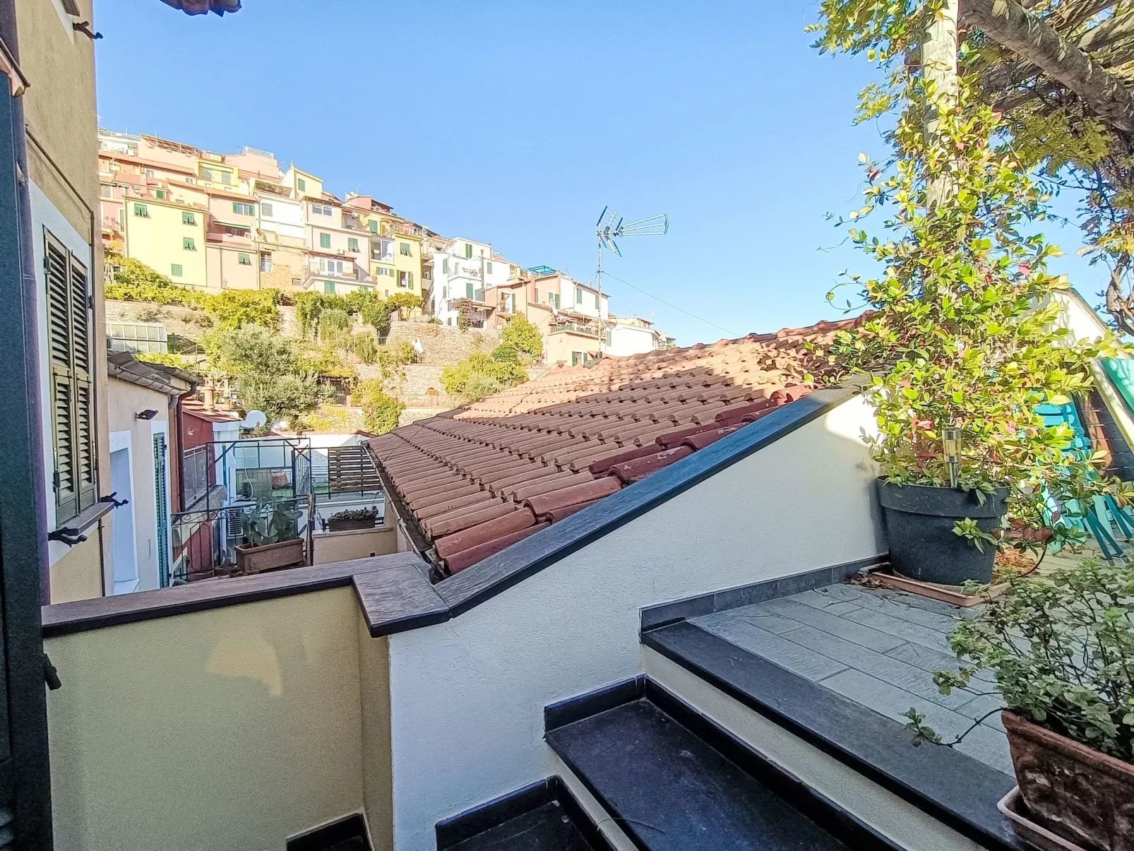 Terrazza con glicine-Draußen