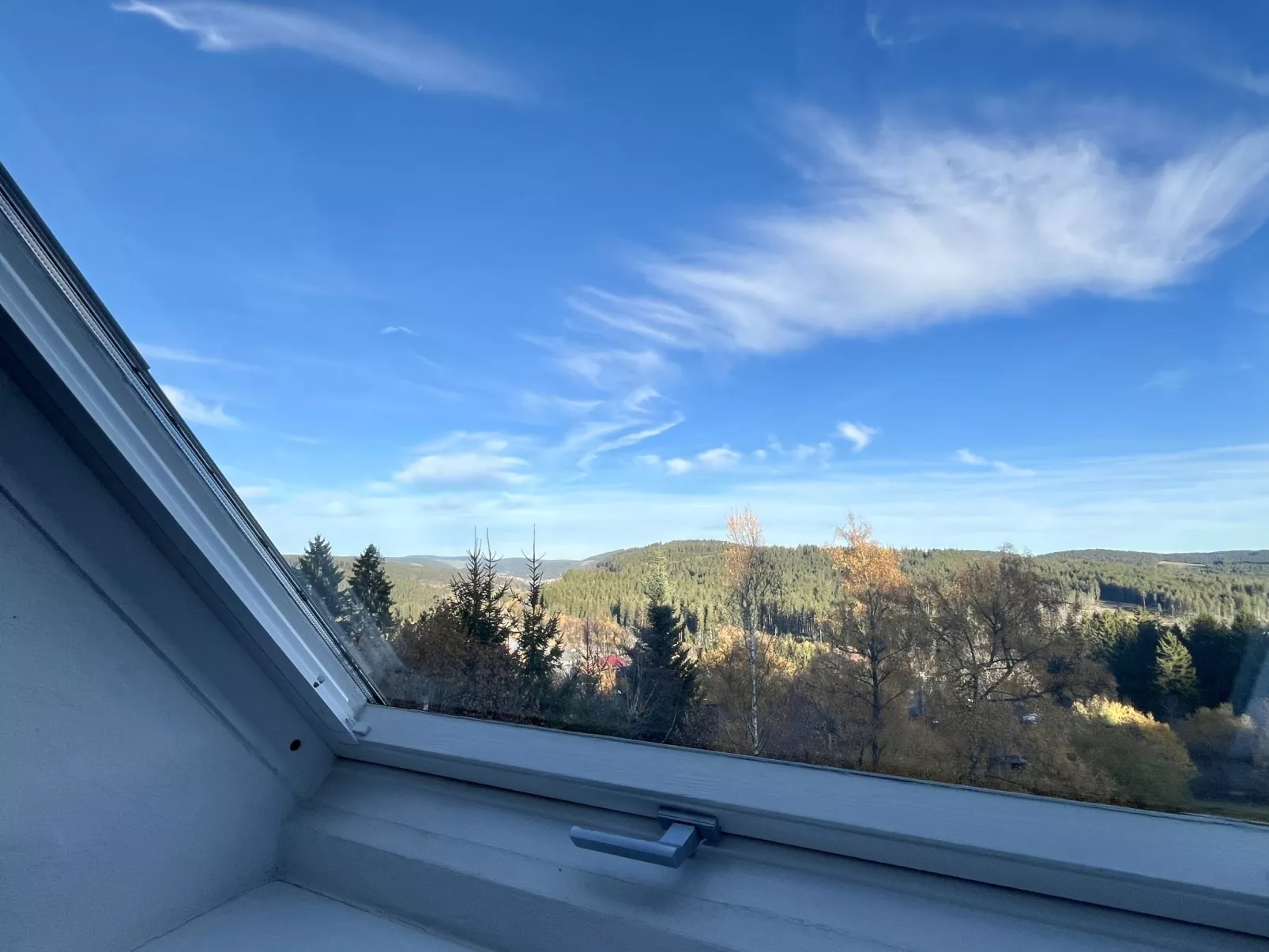 Falkennest - mit Blick auf den Titisee-Draußen