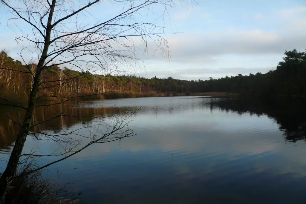 541259-Nicht zugeordnet