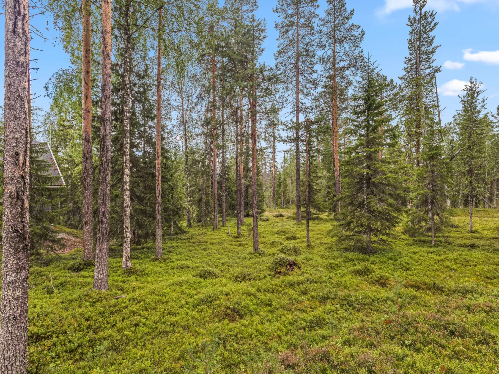 Kultapiisku 2-Drinnen