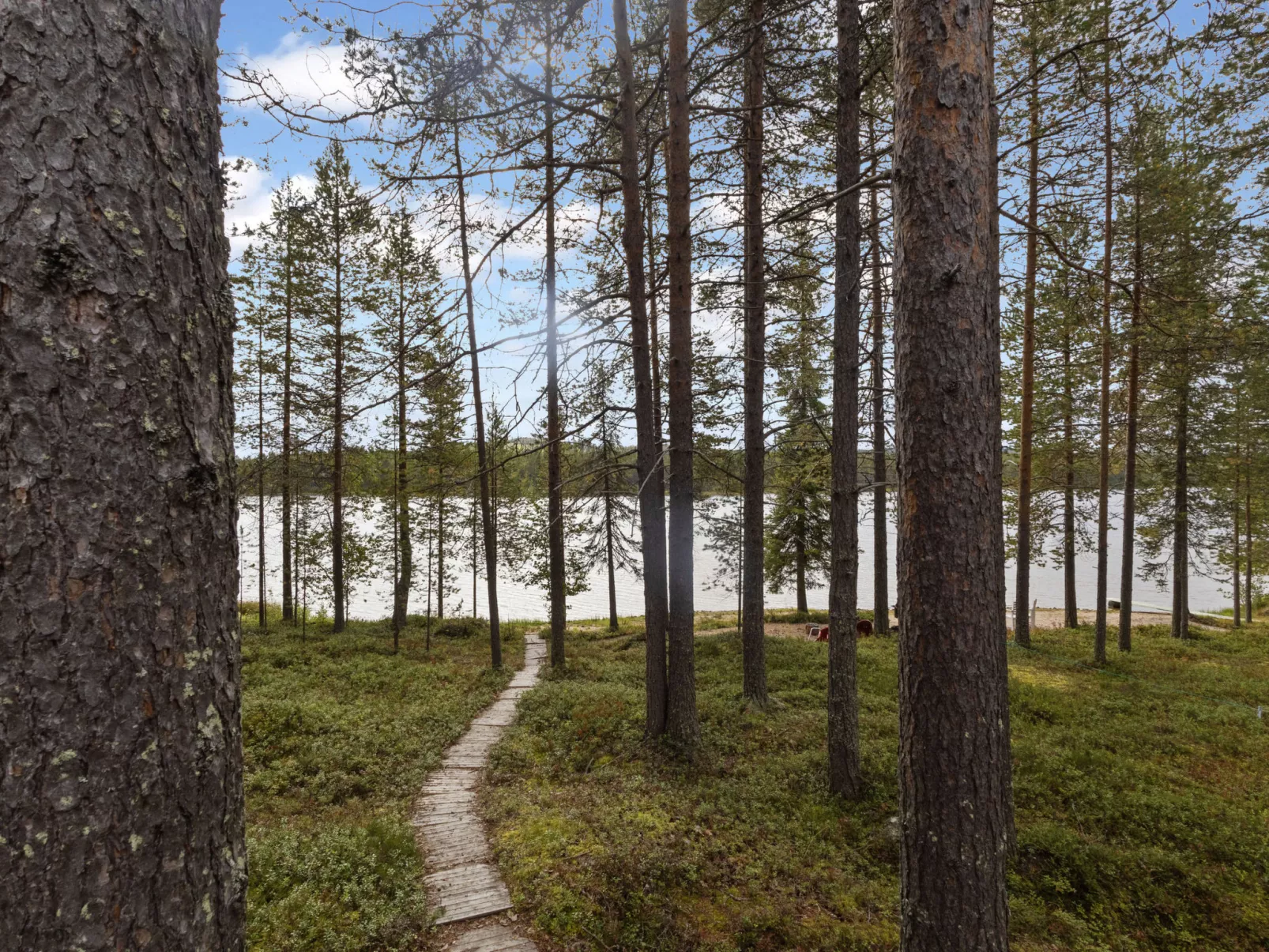 Ahvenmäki b-Drinnen