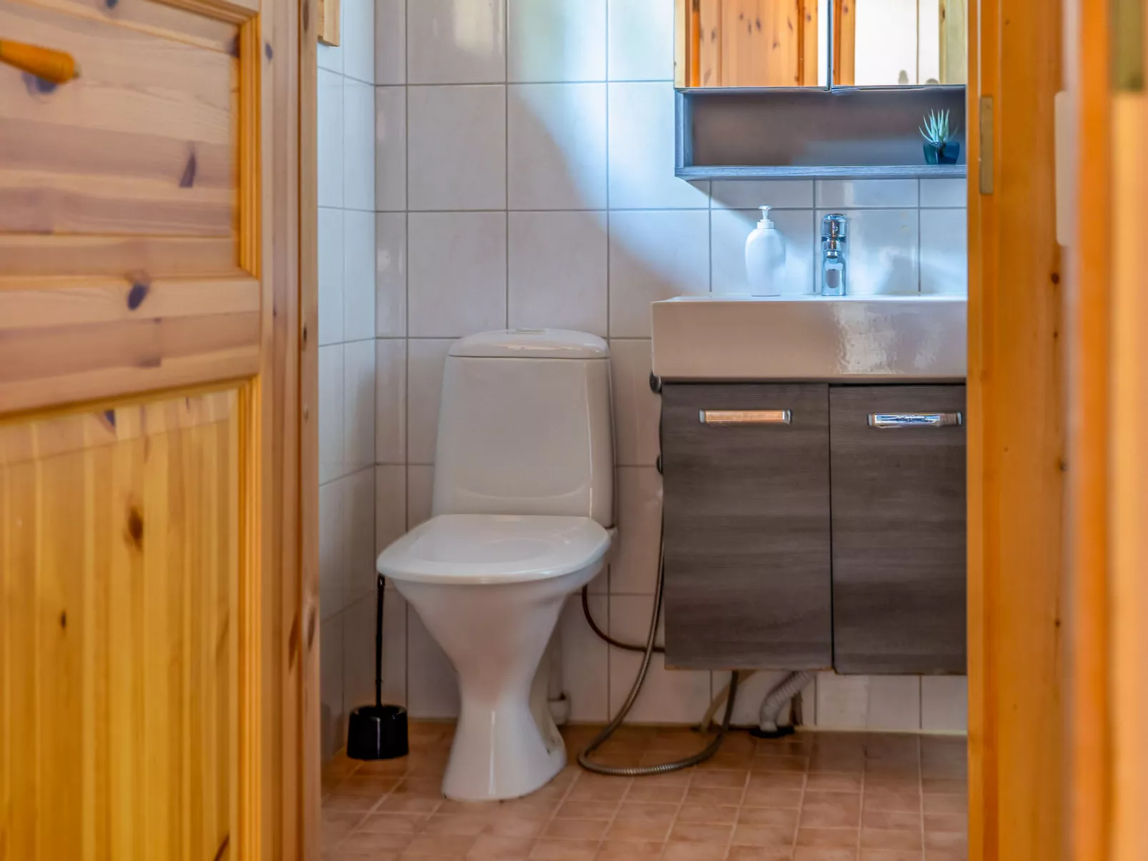 Villa joutsen-Drinnen