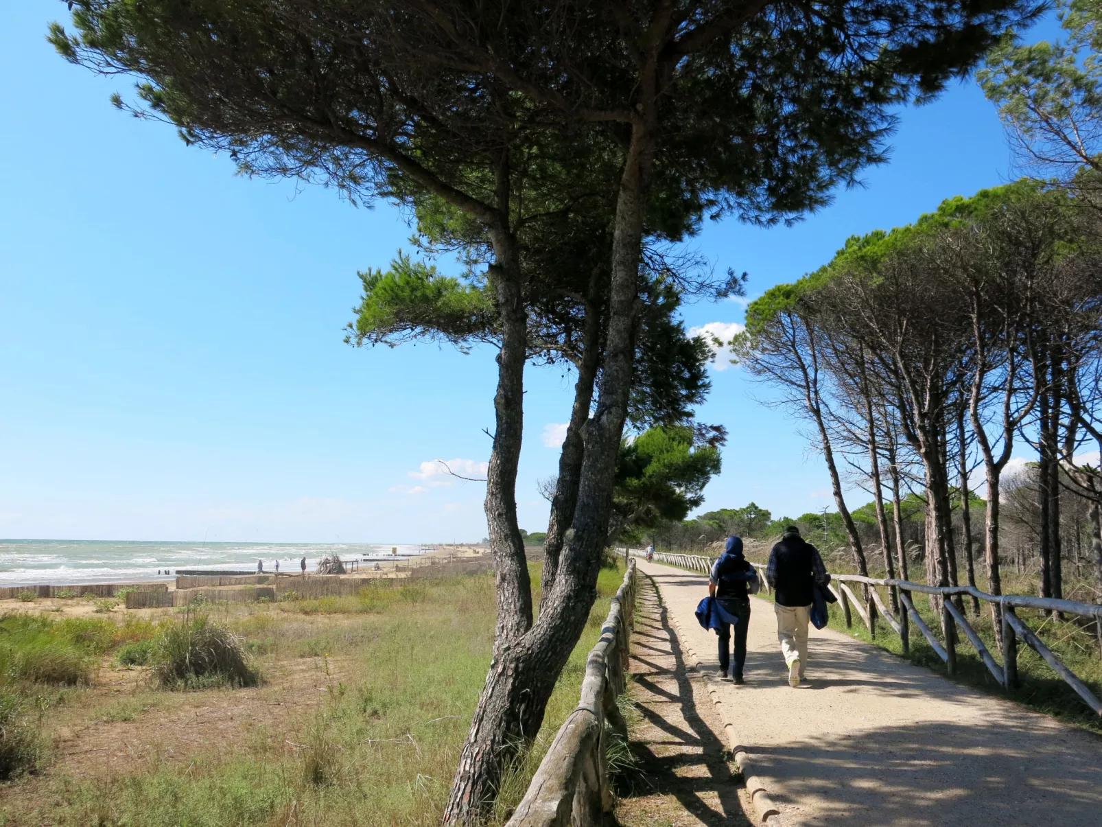 Croce del Sud - Environnement