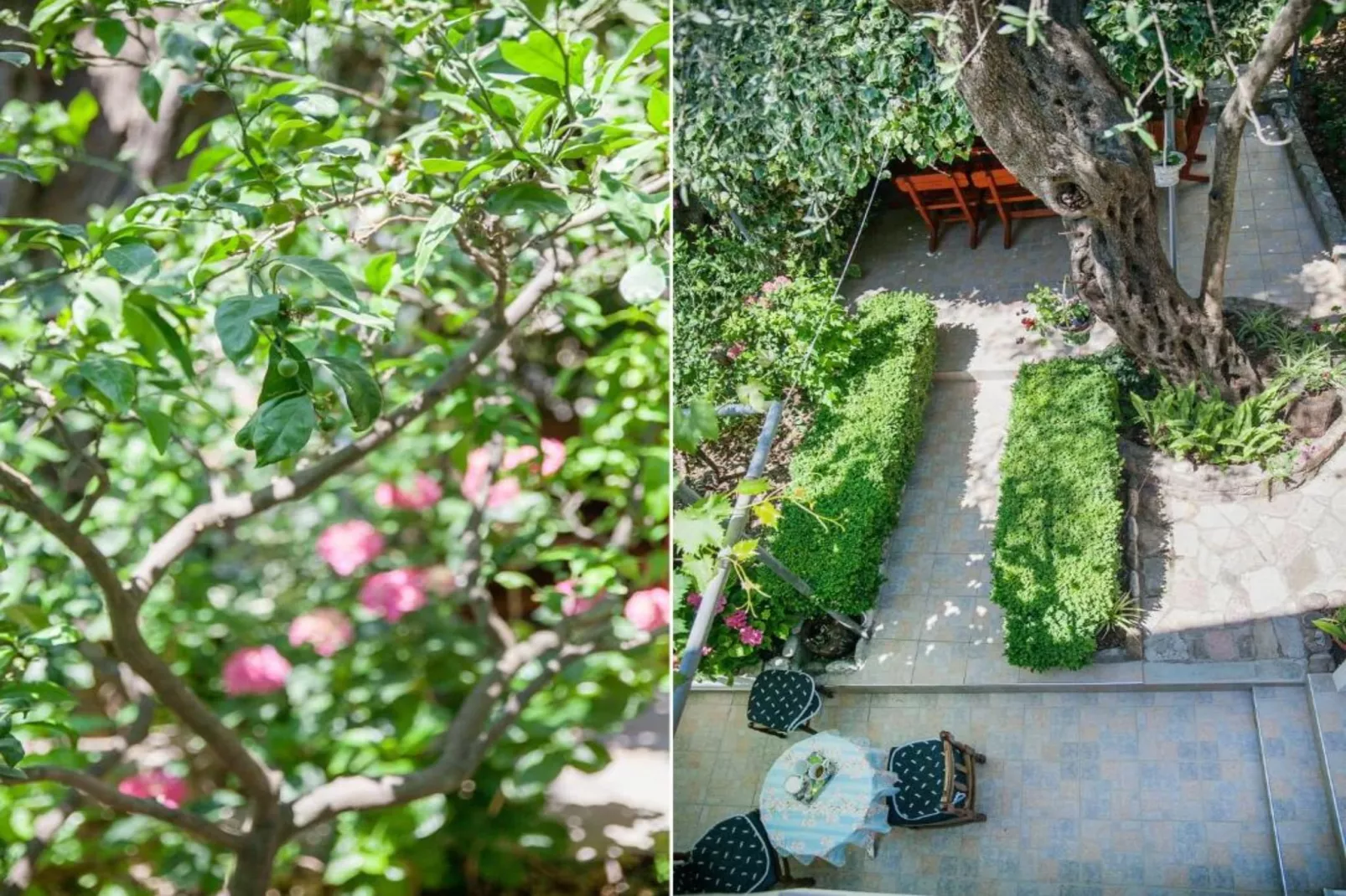 Petrovac Serenity Stay Near the Beach - Standard Double Room 2-Garten Sommer