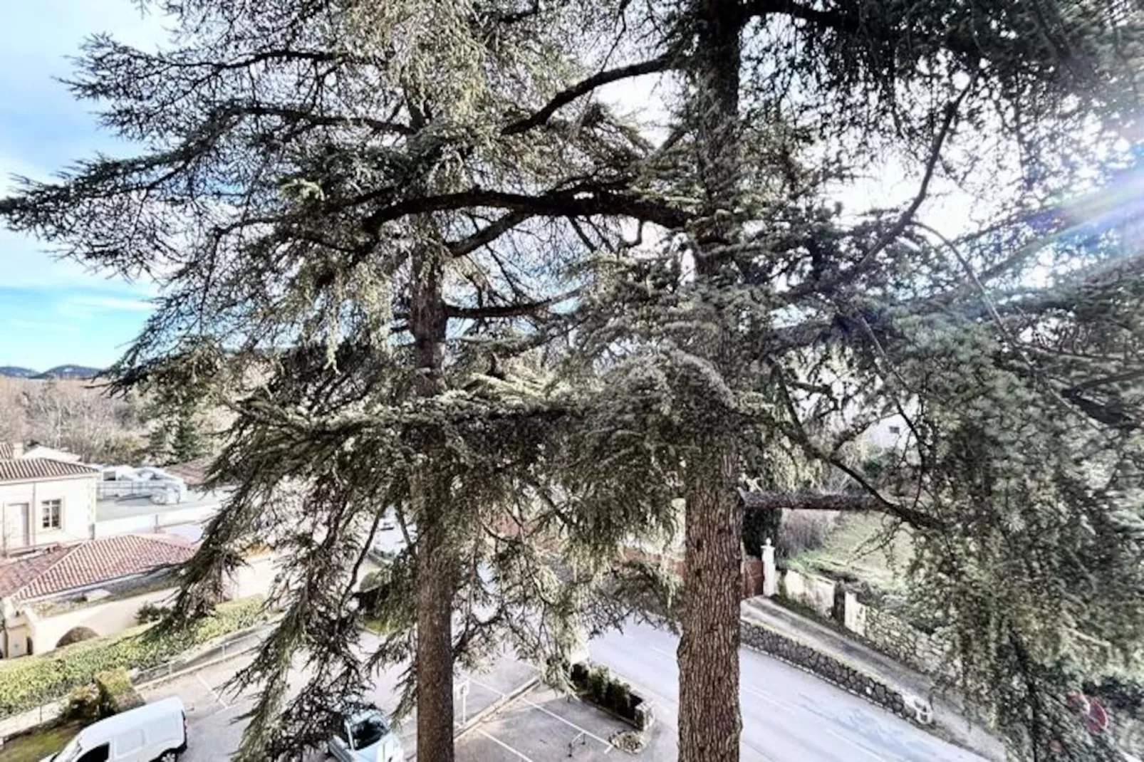 Résidence Cedres-Non tagué