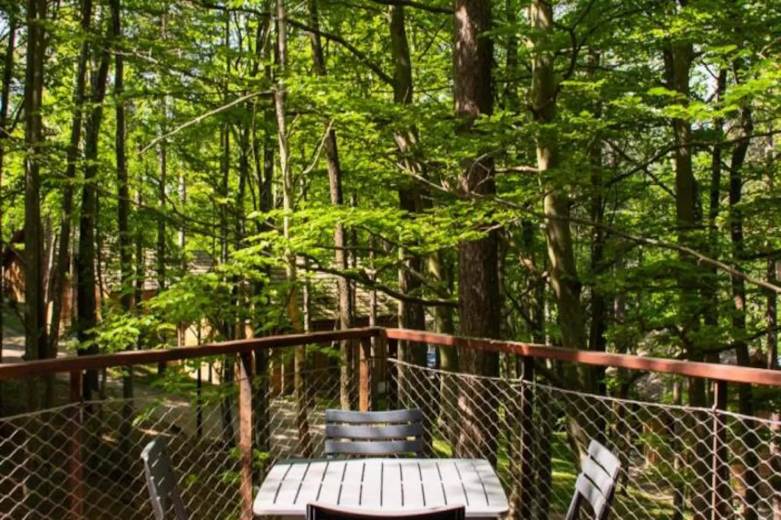 Gîte Cabane insolite dans les cévennes – les sous-bois 3 étoiles-Untagged