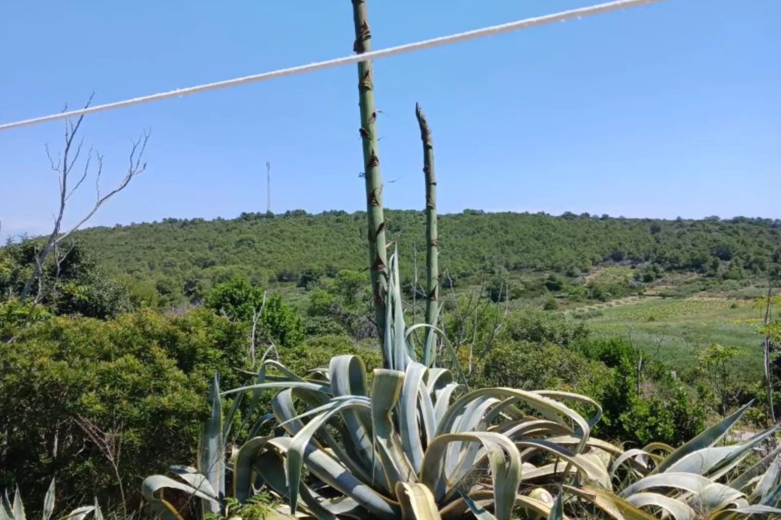 Apartmani Green Oasis - One Bedroom Apartment with Terrace and Sea View-Outdoor