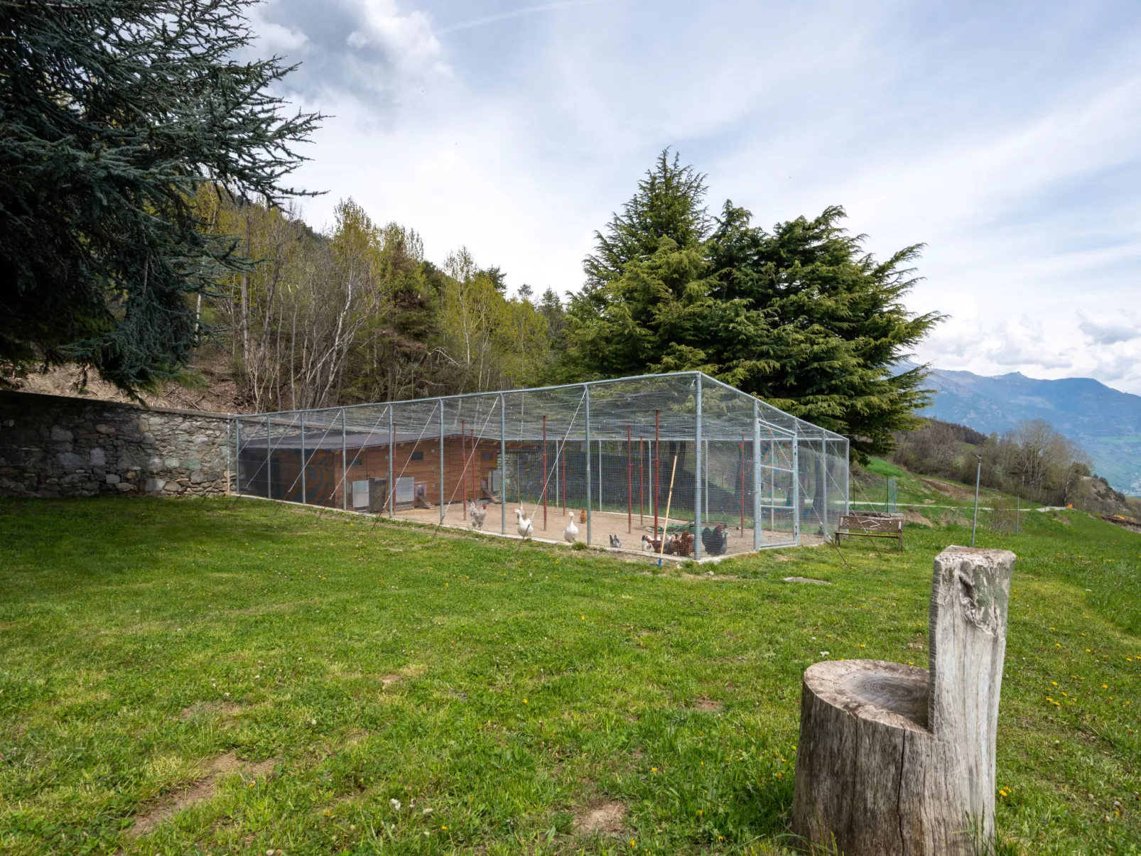 Aigle-Inside
