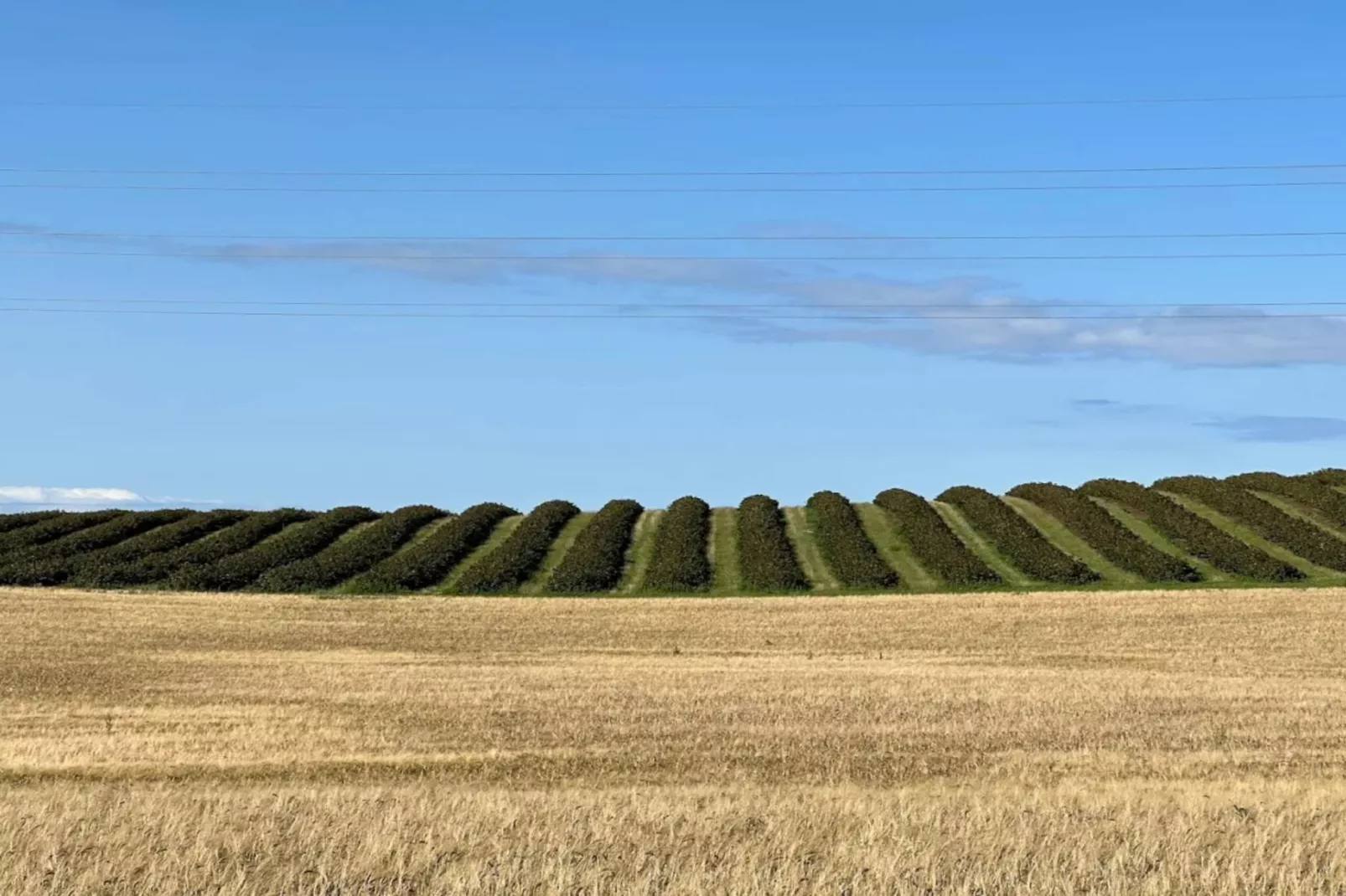 Maison de vacances pour 8 a Sjællands Odde-Vue sur l'eau