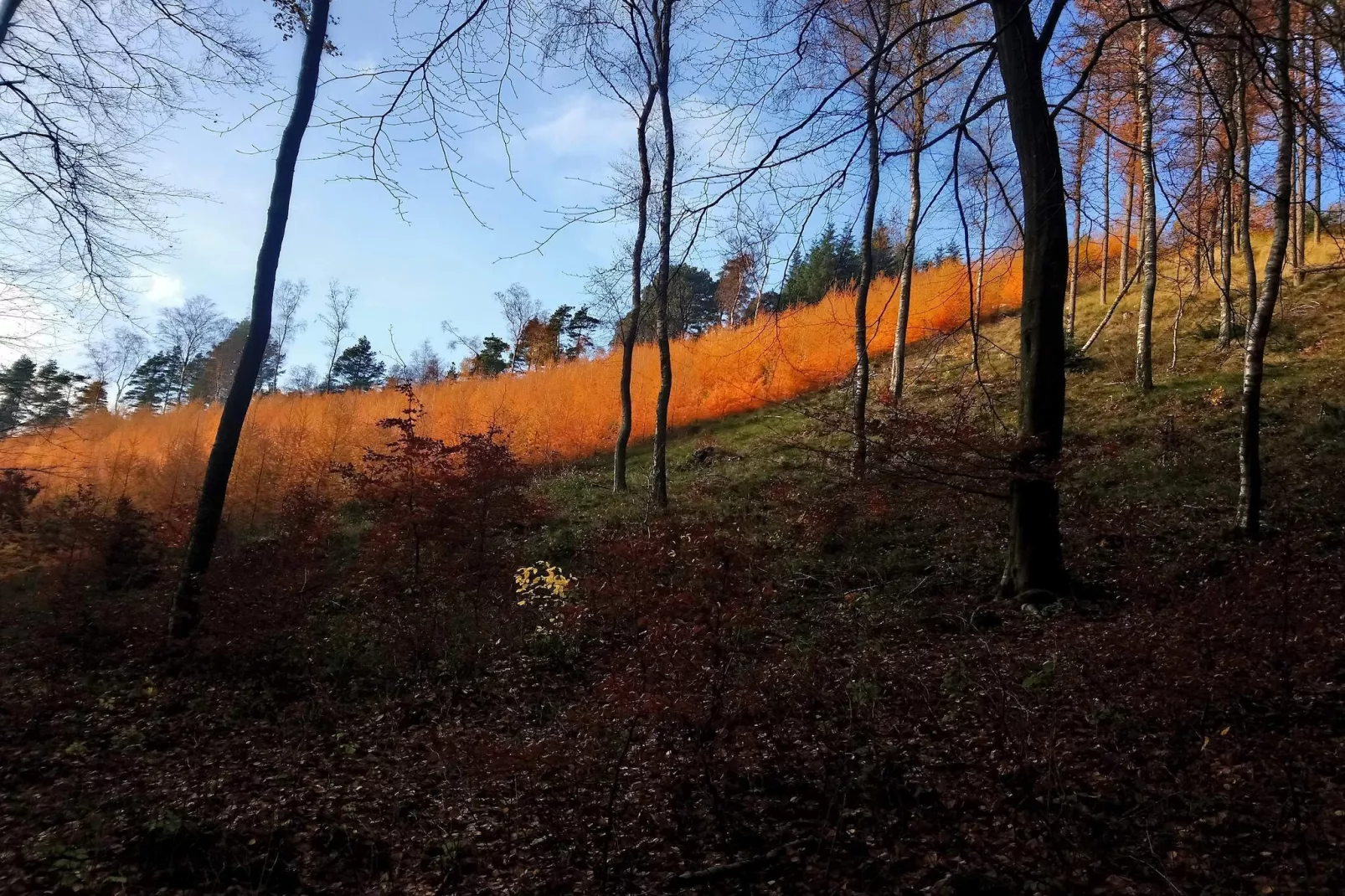 Maison de vacances pour 6 a Ebeltoft-Non tagué