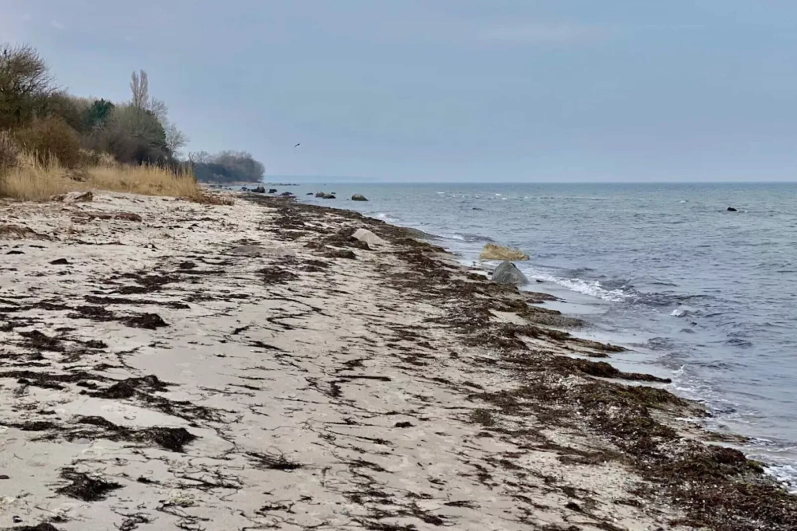 12 Personen Ferienhaus in Væggerløse-Wasserblick