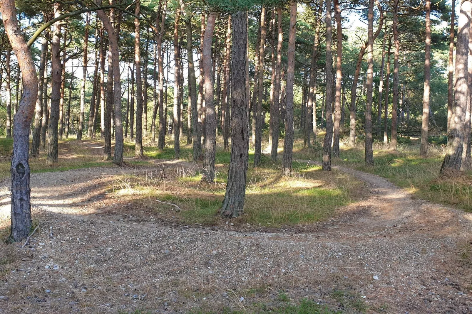 4 person holiday home in Oksbøl-Untagged