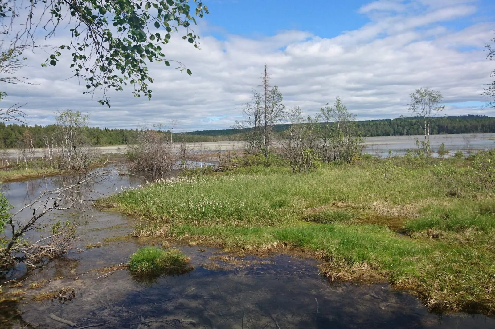 Rotes Bauernhaus in der Nähe von Forsheda-Wasserblick