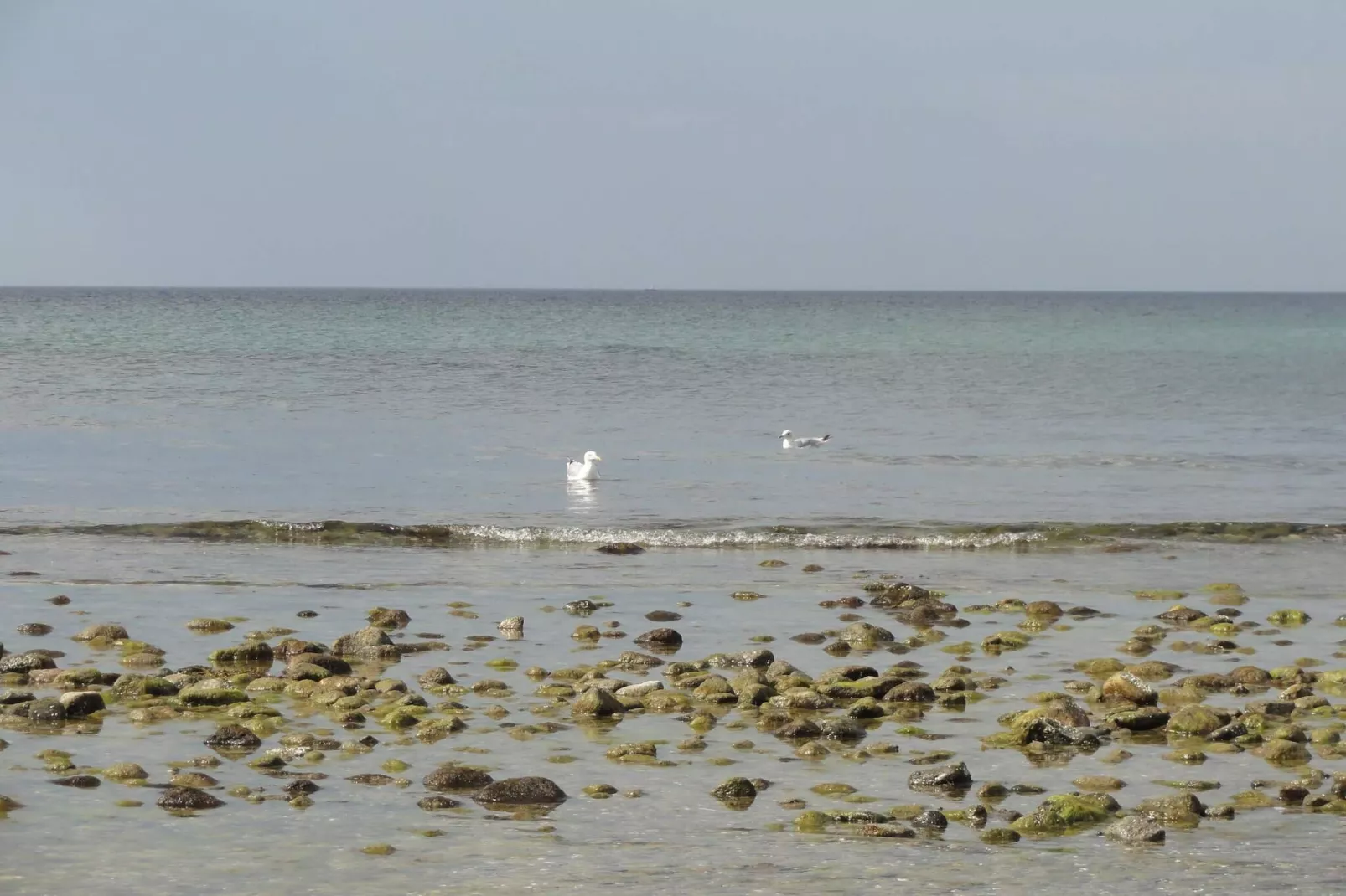 Luxury Retreat in Liseleje - By Traum Ferienwohnungen-Water view