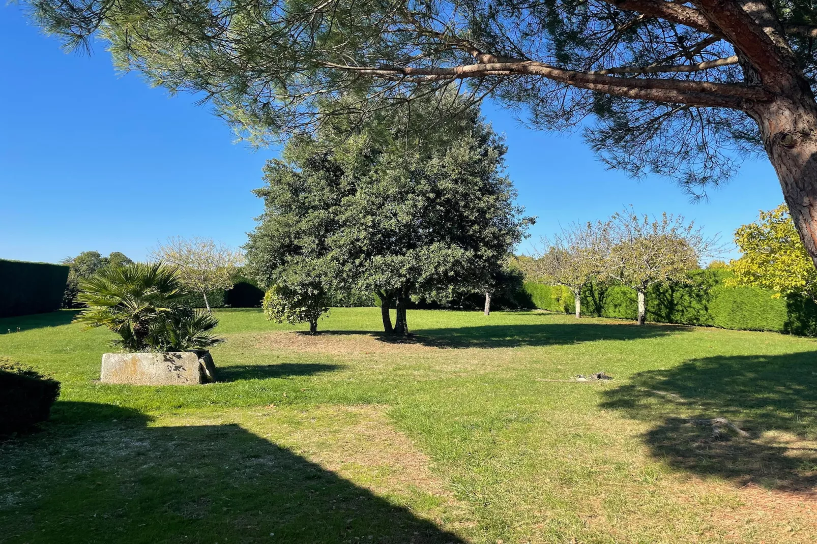 Villa Petite Champagne-Jardins en été