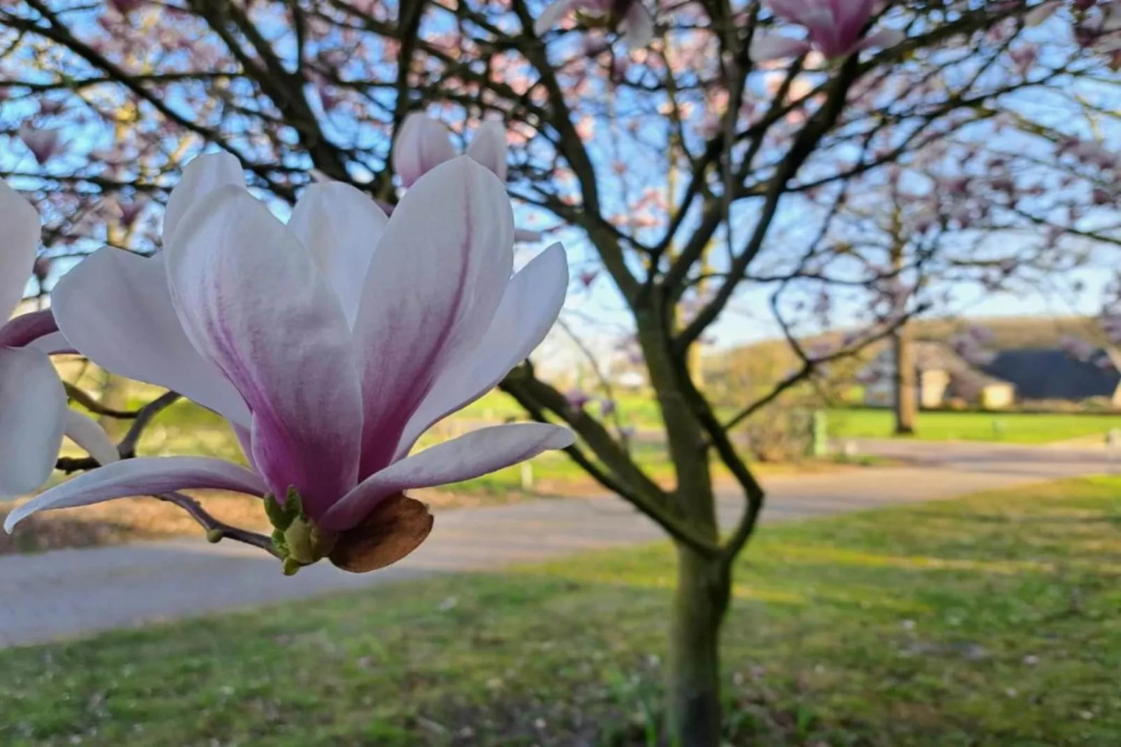 Villapark Ehzerburg 2-Areas within 20km in summer