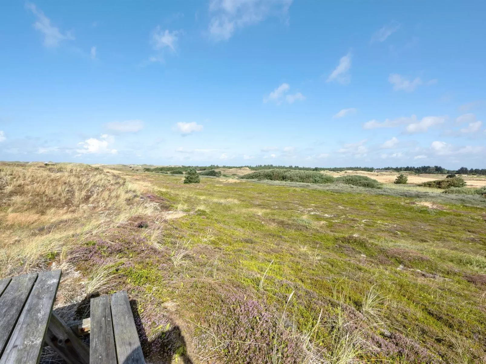 "Electra" - 500m to the fjord-Dehors
