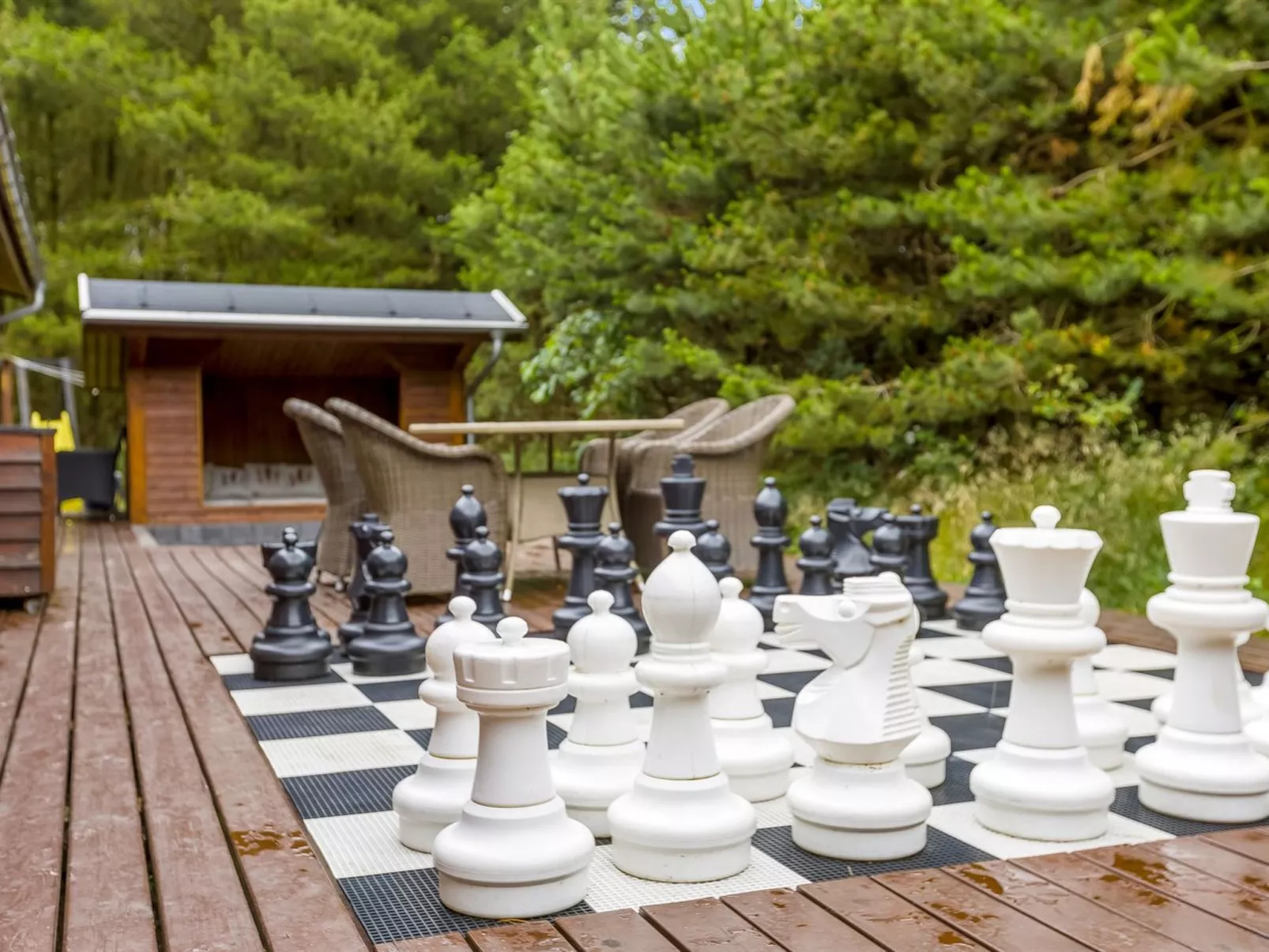 "Patrizia" - 1km from the sea-Outside