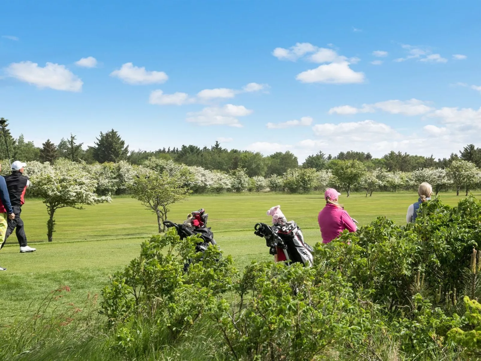 "Ameline" - 500m to the fjord-Draußen