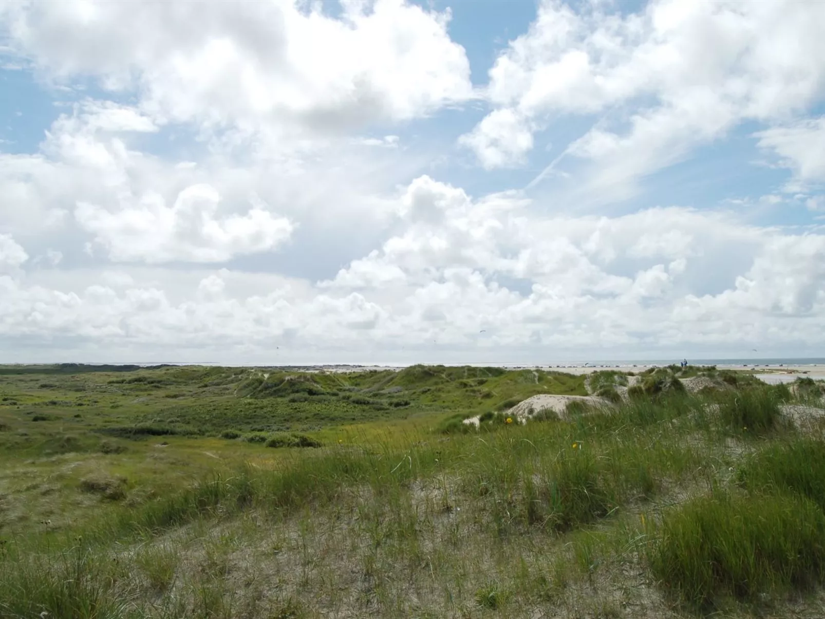 "Kalf" - 400m from the sea-Outside