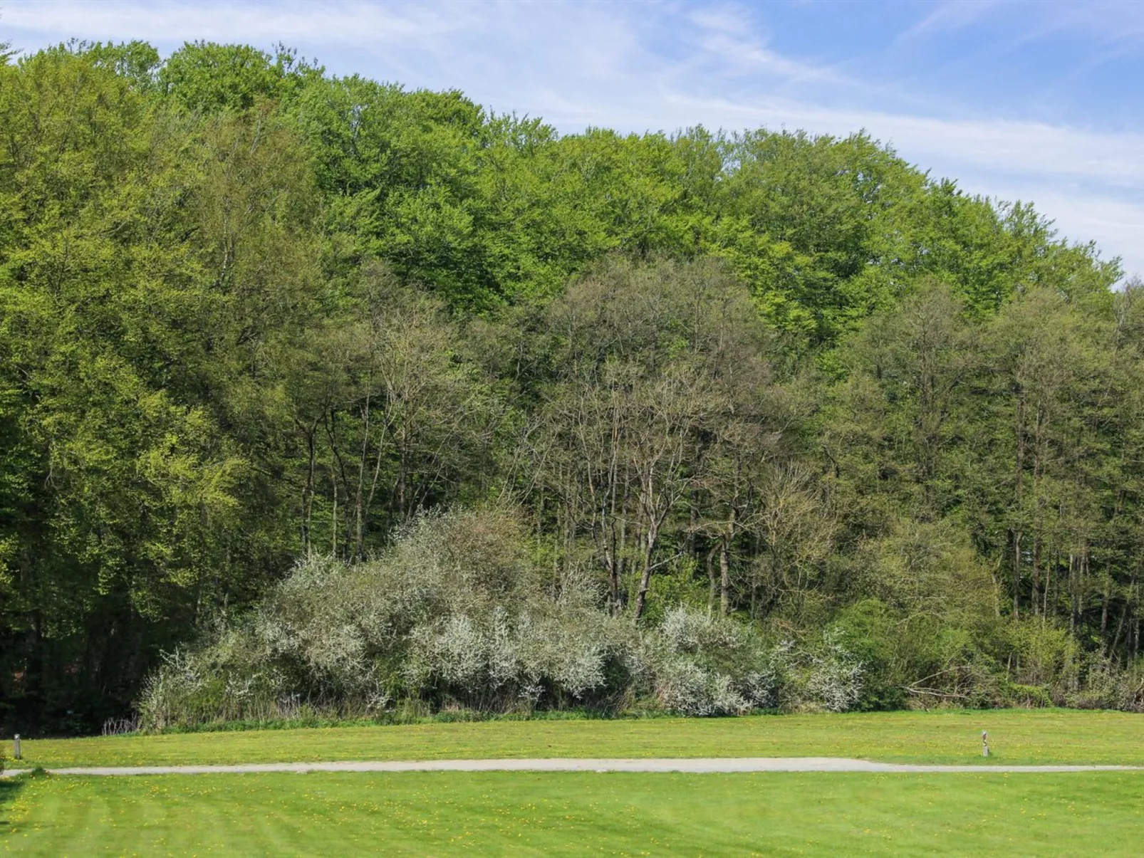 "Freding" - 250m to the fjord-Outside