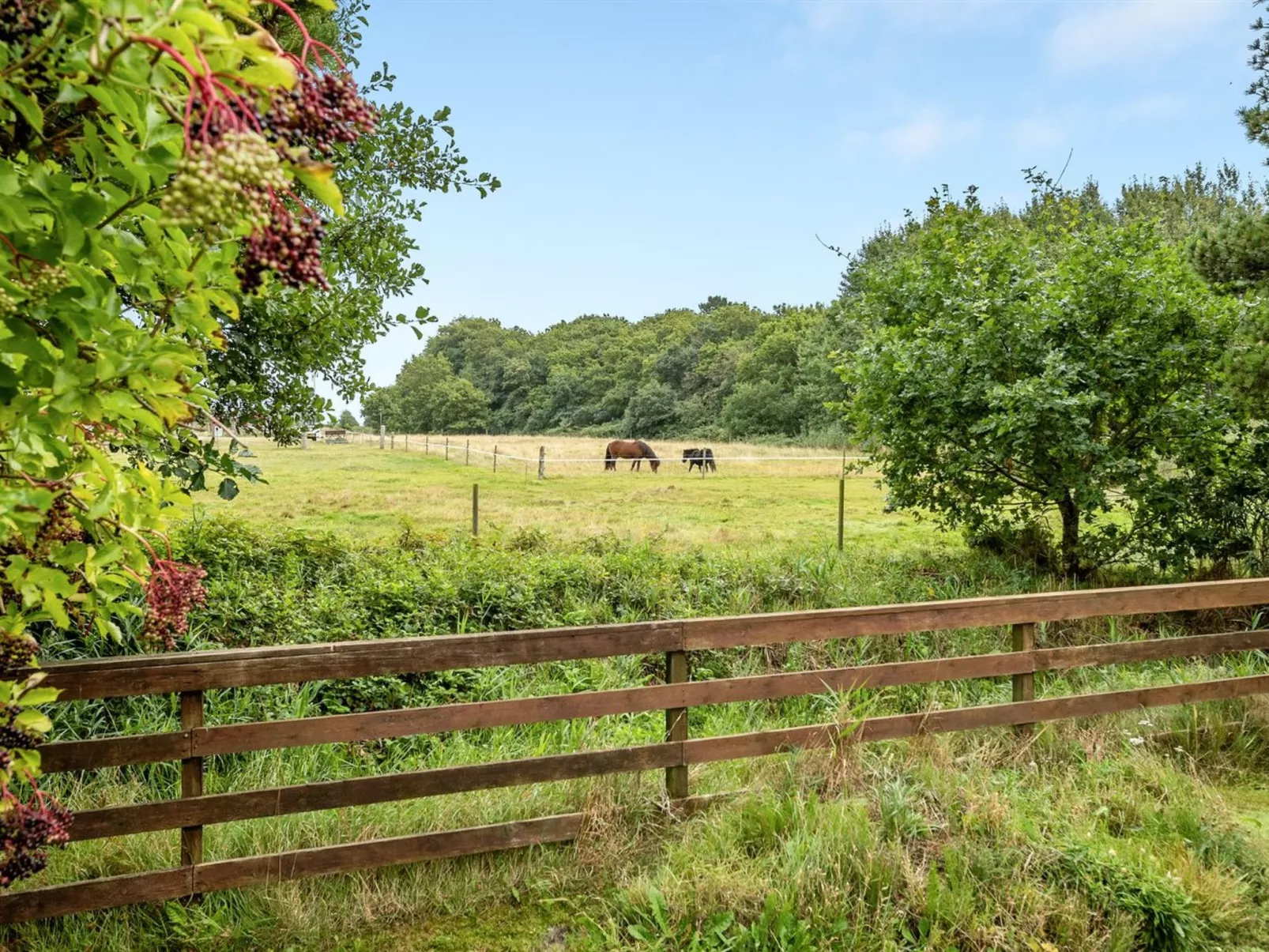 "Botulf" - 3.8km from the sea-Outside