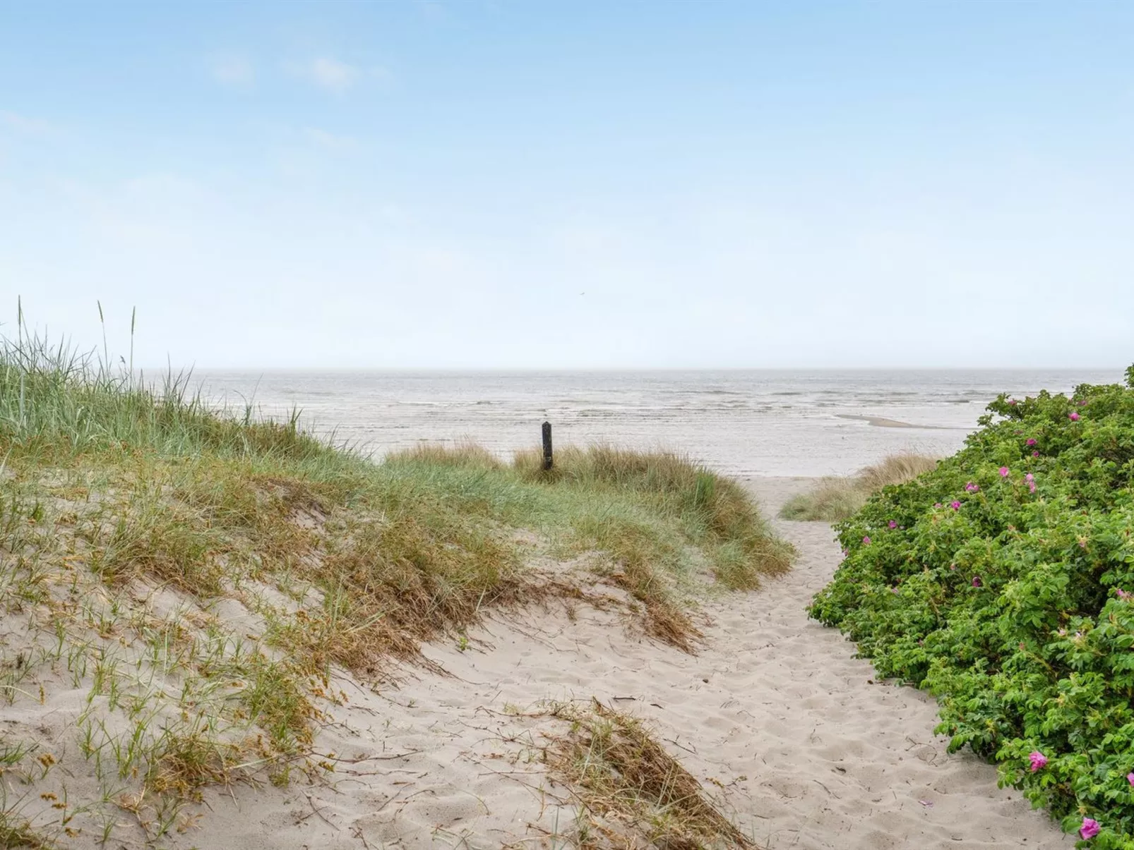 "Erikgine" - 170m from the sea-Dehors