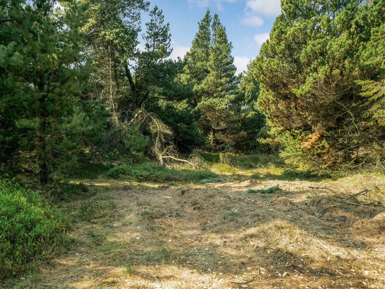 "Herborg" - 1km from the sea-Outside