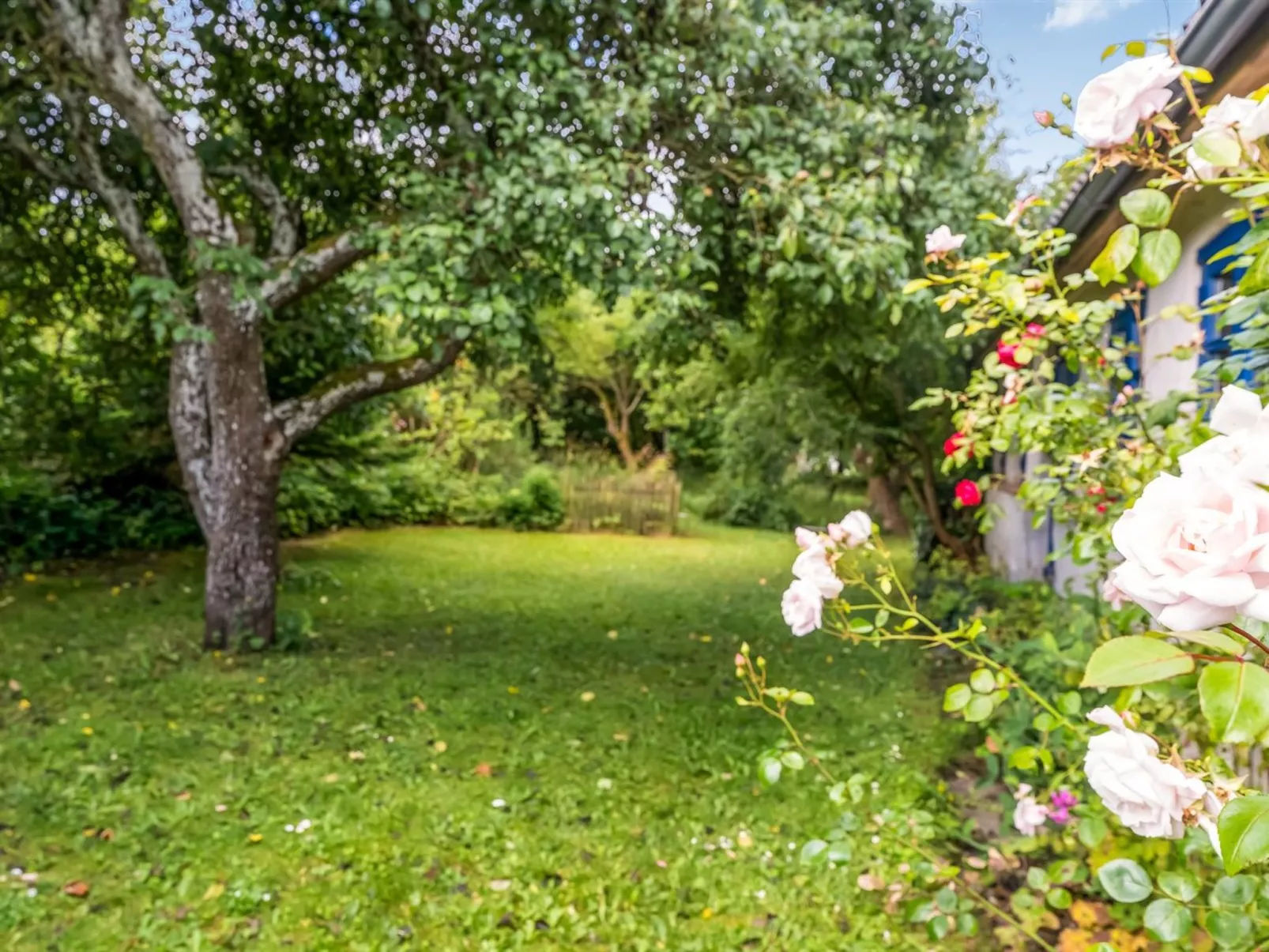 "Agrippa" - 30m to the fjord-Draußen