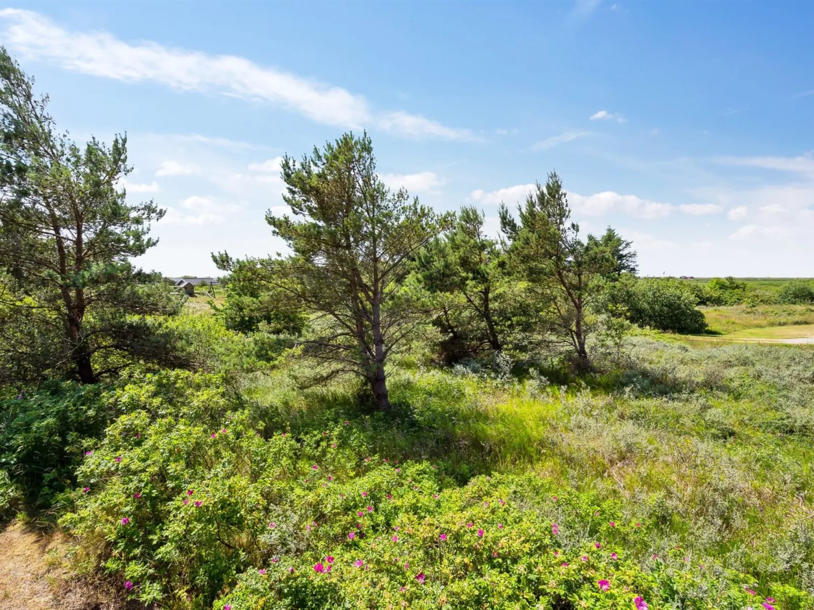 "Athalia" - 2.4km from the sea-Dehors