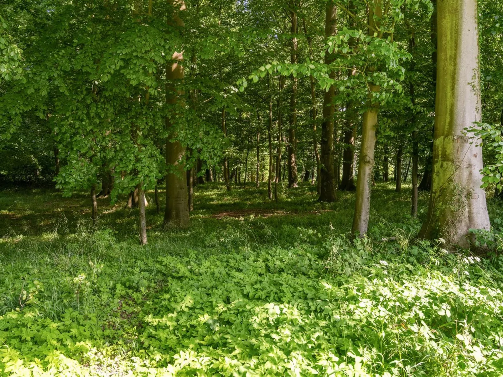 "Sirkku" - 320m from the sea-Outside