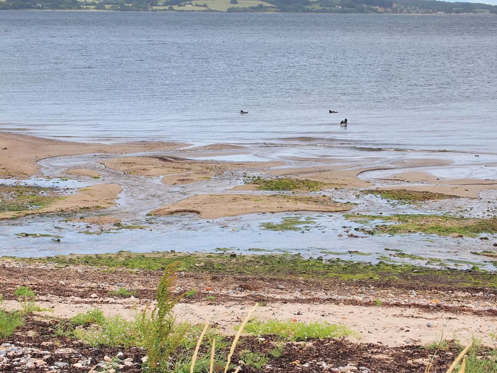 "Melia" - 50m to the fjord-Outside