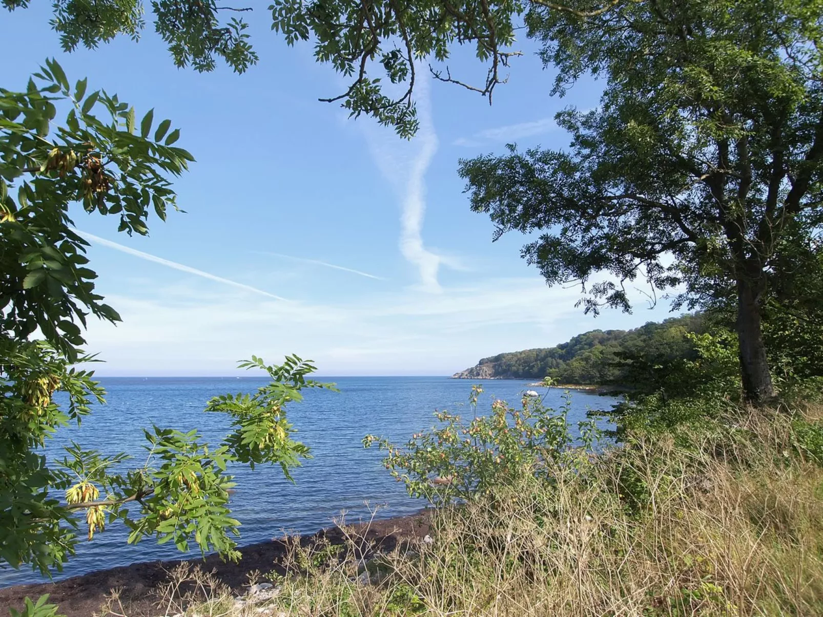 "Alfred" - 25m from the sea-Draußen