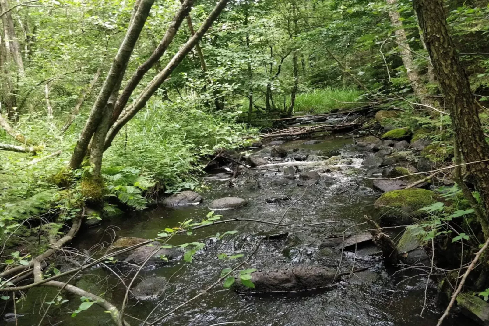 9 person holiday home in Ljungbyhed-By Traum-Water view