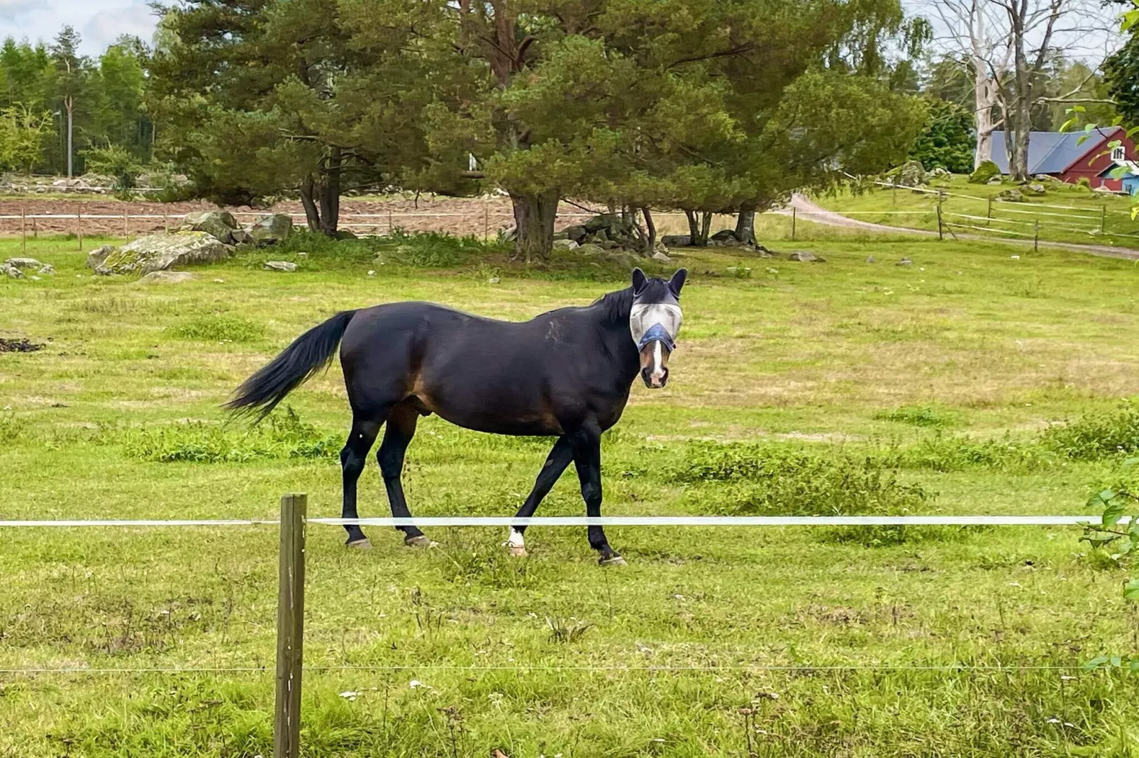 3 person holiday home in Berga-By Traum-Outdoor