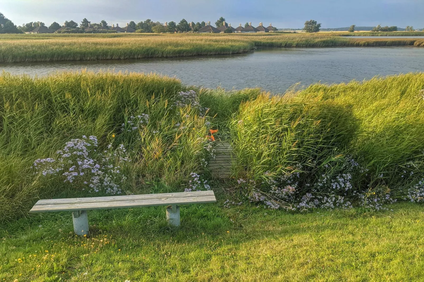 Maison de vacances pour 5 a Karrebæksminde-Vue sur l'eau